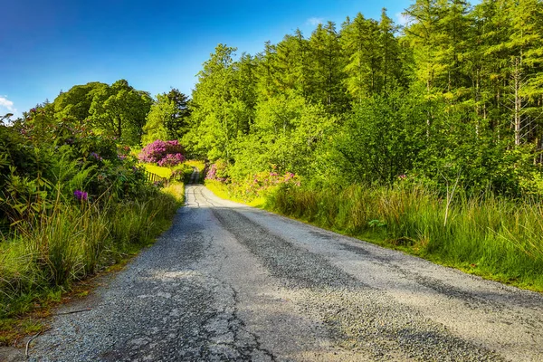 素晴らしいスコットランドの自然と山道の美しい風景 — ストック写真