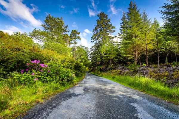 Schöne Malerische Landschaft Von Erstaunlicher Schottischer Natur Und Bergwanderweg — Stockfoto