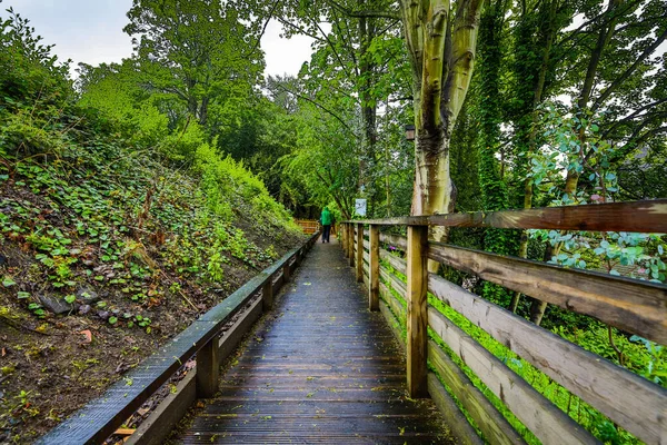 Vecchio Ponte Pittoresco Paesaggio Mattutino Scozzese — Foto Stock