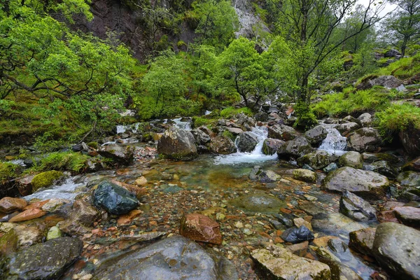 Paisagem Pitoresca Rio Montanha Com Natureza Tradicional Escócia — Fotografia de Stock