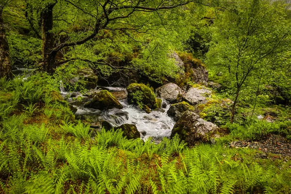 Malerische Landschaft Eines Gebirgsflusses Mit Traditioneller Natur Schottlands — Stockfoto