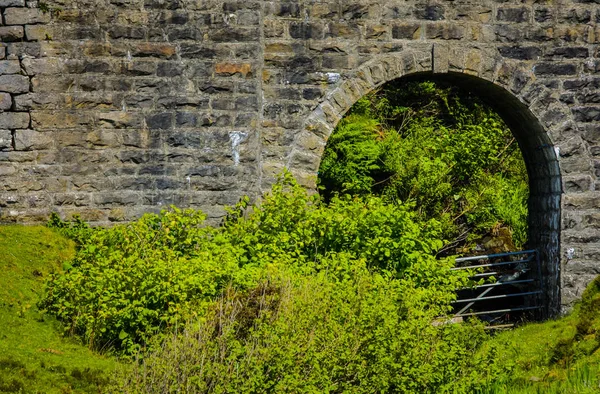 Gamla Bron Och Pittoreska Skottland Morgon Landskap — Stockfoto