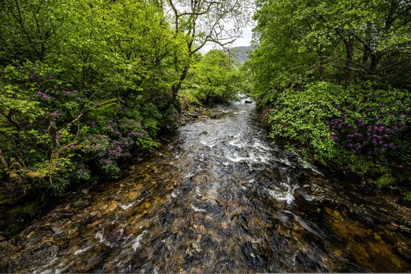 具有苏格兰传统性质的山河风景 — 图库照片