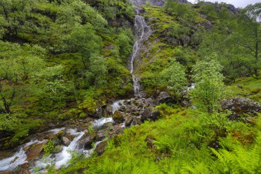 Bir dağ şelalesinin manzarası ve İskoçya 'nın geleneksel doğası.
