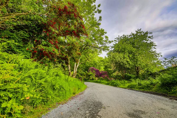 Beautiful Scenic Landscape Amazing Scotland Nature Mountain Trail Road — Stock Photo, Image