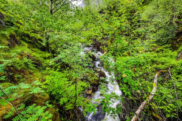 Malowniczy Krajobraz Górskiego Wodospadu Tradycyjnej Przyrody Szkocji — Zdjęcie stockowe