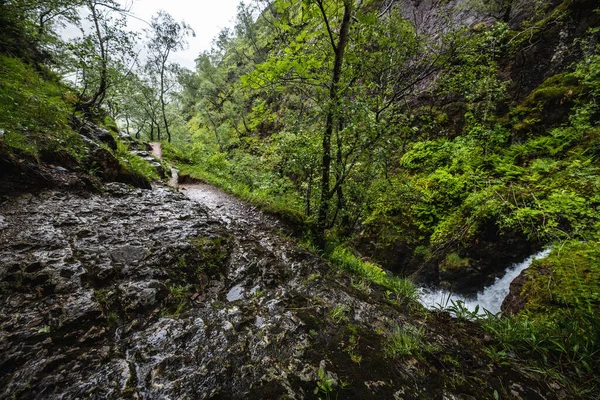 Picturesque Landscape Mountain River Traditional Nature Scotland — Stock Photo, Image