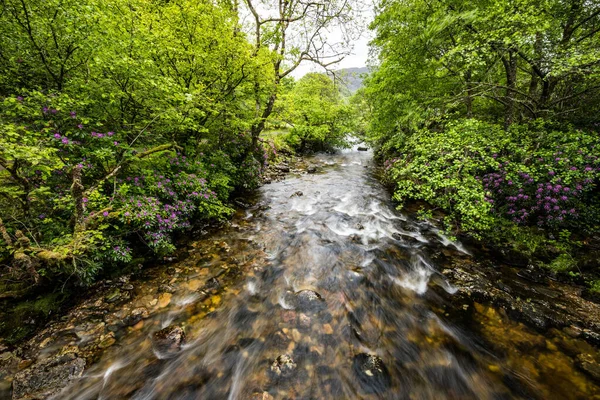 Paysage Pittoresque Une Rivière Montagne Avec Nature Traditionnelle Écosse — Photo