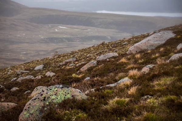 Hermoso Paisaje Paisajístico Escocia Naturaleza — Foto de Stock