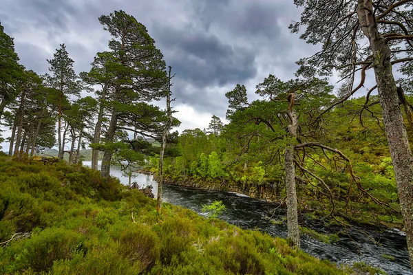 Picturesque landscape of a mountain river with traditional nature of Scotland.