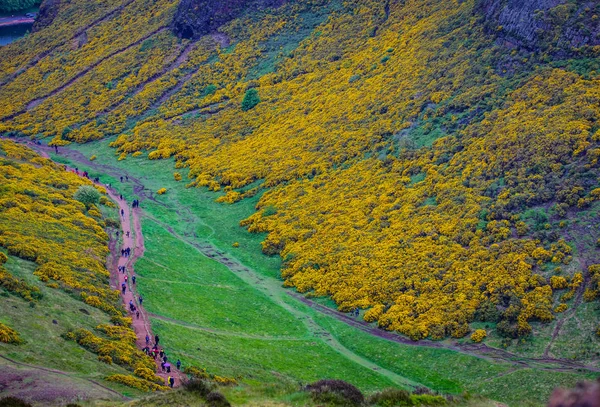 素晴らしいスコットランドの自然と山道の美しい風景 — ストック写真