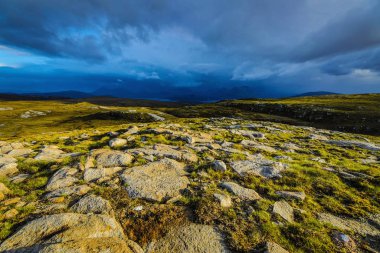İskoçya doğasının güzel manzarası.