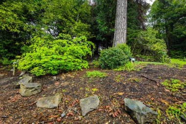 İskoçya doğasının güzel manzarası.