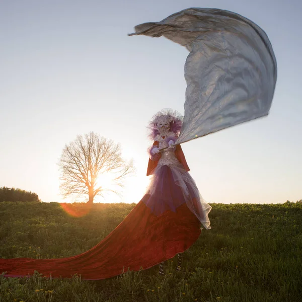 Tündérmese nő gólyalábakon fényes fantázia stilizáció. — Stock Fotó