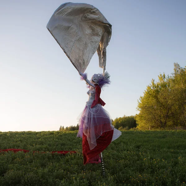 Conte de fées femme sur pilotis dans lumineux fantaisie stylisation . — Photo