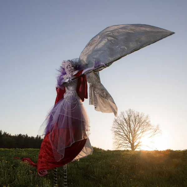 Mujer de cuento de hadas en zancos en brillante estilización fantasía . — Foto de Stock