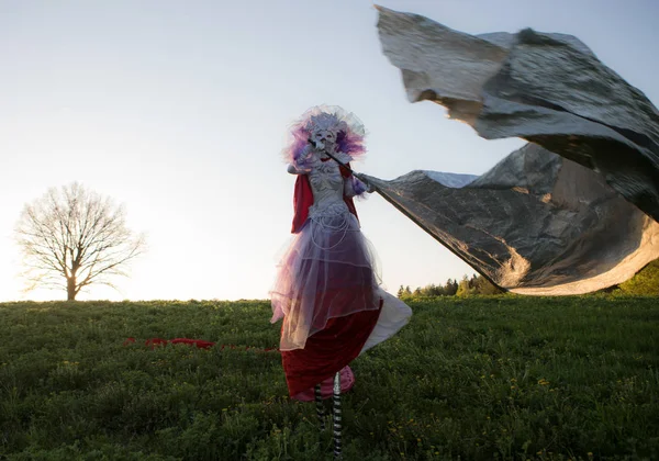 Conte de fées femme sur pilotis dans lumineux fantaisie stylisation . — Photo