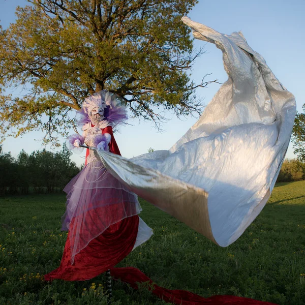 Conte de fées femme sur pilotis dans lumineux fantaisie stylisation . — Photo