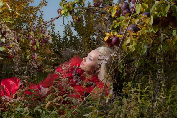 Sensual blond girl in fantasy red fairy tale stylization in apple park. — Stock Photo, Image