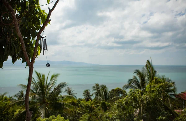 Landskap av tropiska ön. Thailand - Phuket. — Stockfoto