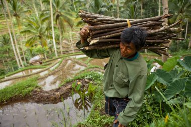 Endonezya, Bali - 20 Ocak 2011: Otantik Endonezya Halkı.