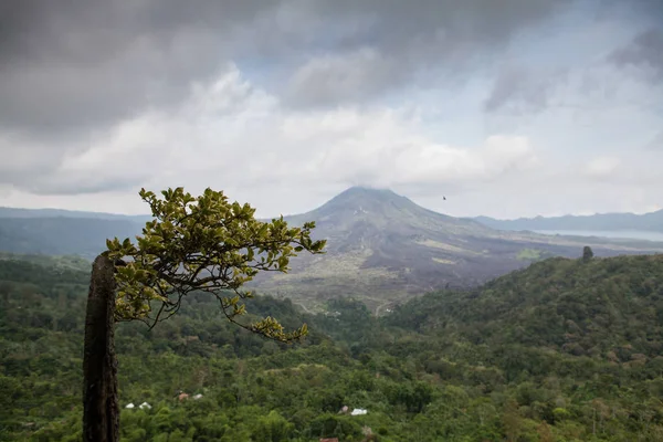 Tirando o fôlego Indonésia ilhas tropicais tradicionais natureza paisagem . — Fotografia de Stock