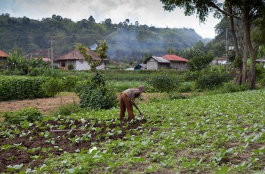 Endonezya, Bali - 20 Ocak 2011: Otantik Endonezya Halkı.