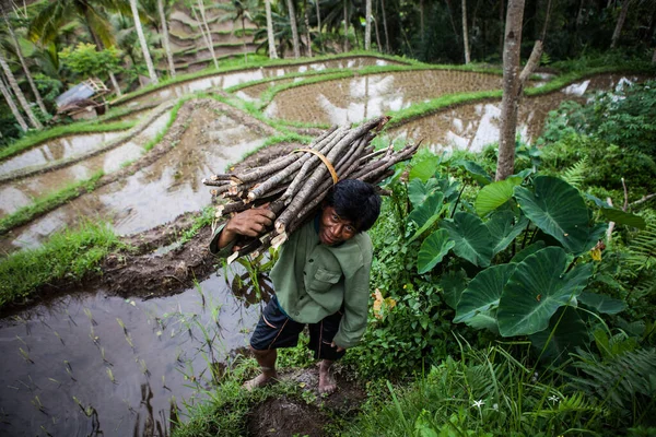 INDONESIA, BALI - JANUARY 20, 2011: Authentic Indonesia People. — Stock Photo, Image