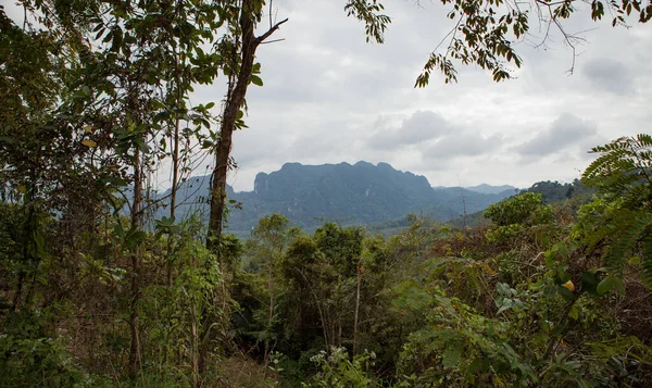 Landscape of tropical island. Thailand - Phuket. — Stock Photo, Image