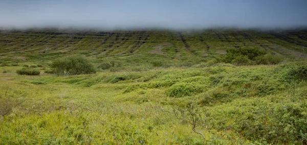 Prachtig landschap van de IJslandse natuur. — Stockfoto