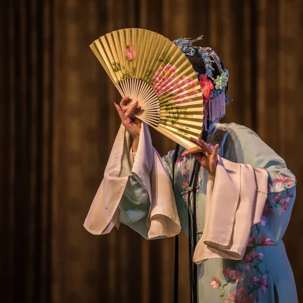 Ópera tradicional china en Pekín foto de cerca . —  Fotos de Stock