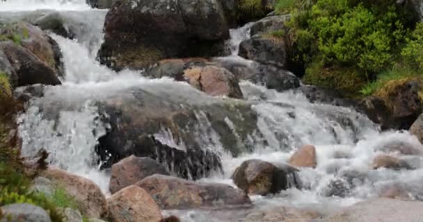 Pintoresco paisaje de un río de montaña con la naturaleza tradicional de Escocia. Filmación 4K . — Vídeo de stock