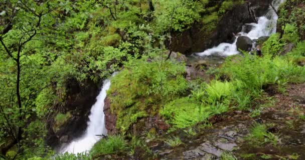 Pintoresco paisaje de una cascada de montaña y la naturaleza tradicional de Escocia. Filmación 4K . — Vídeos de Stock