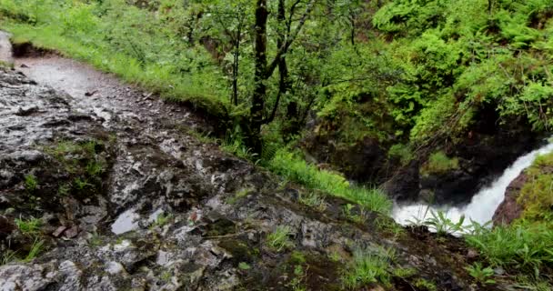 스코틀랜드의 전통적 인 특성을 지닌 산의 강의 아름다운 풍경이다. 4K 동영상. — 비디오