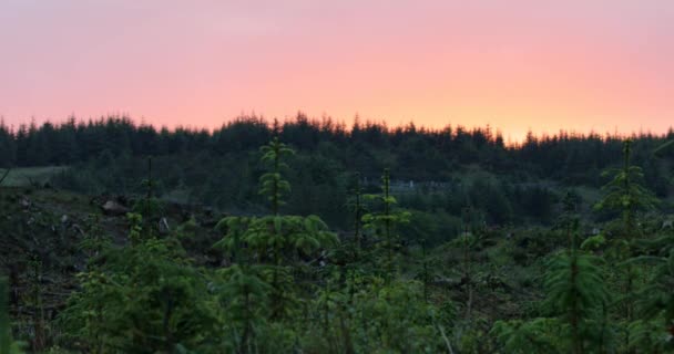 Живописный пейзаж природы Шотландии. 4K Footage . — стоковое видео