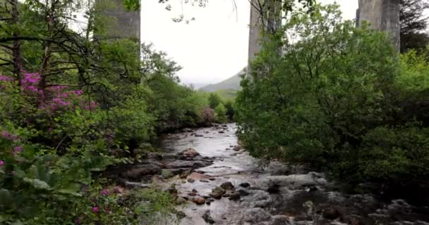 Paisagem pitoresca de um rio de montanha com a natureza tradicional da Escócia. Filmagem 4K . — Vídeo de Stock
