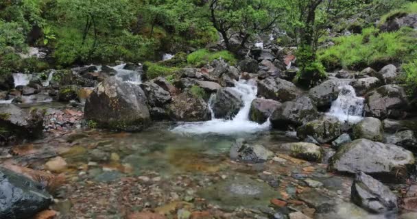 Pittoreska landskap av en fjäll flod med traditionell natur av Skottland. — Stockvideo