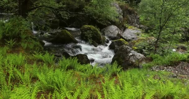 Pintoresco paisaje de un río de montaña con la naturaleza tradicional de Escocia. Filmación 4K . — Vídeos de Stock