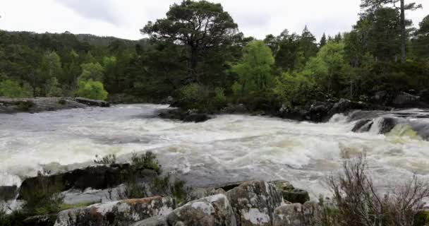 Malowniczy krajobraz górskiej rzeki z tradycyjną naturą Szkocji. Nagranie 4k. — Wideo stockowe