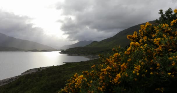Vackert naturlandskap i Skottland. 4k-bilder. — Stockvideo