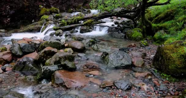 Picturesque landscape of a mountain river with traditional nature of Scotland. 4K Footage. — Stock Video