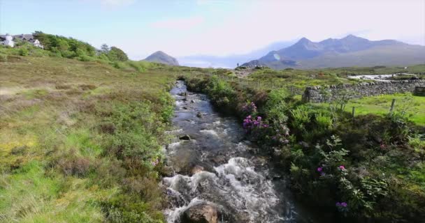 Γραφικό τοπίο ενός ορεινού ποταμού με παραδοσιακή φύση της Σκωτίας. 4k Πλάνα. — Αρχείο Βίντεο