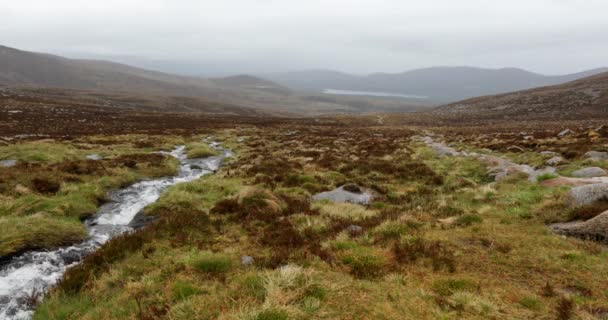 Paesaggio pittoresco di un fiume di montagna con natura tradizionale della Scozia. Filmati 4K . — Video Stock