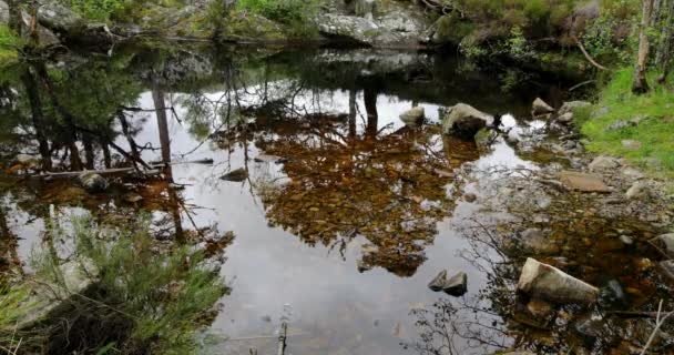Живописный пейзаж природы Шотландии. 4K Footage . — стоковое видео