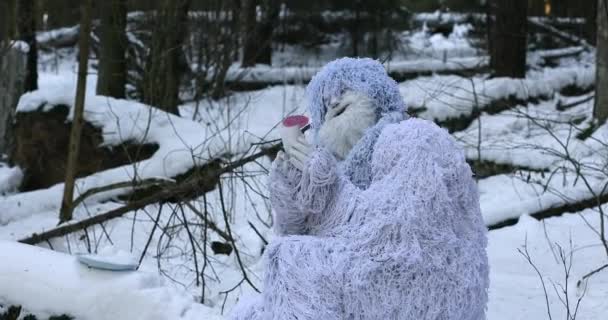 Yeti pohádková postava v zimním lese. 5 in 1 outdoor fantasy 4K video. — Stock video