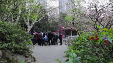 SHANGHAI, CHINA - APRIL 04, 2019: Traditional Chinese mens entertainment in city park. Slow Motion Footage.