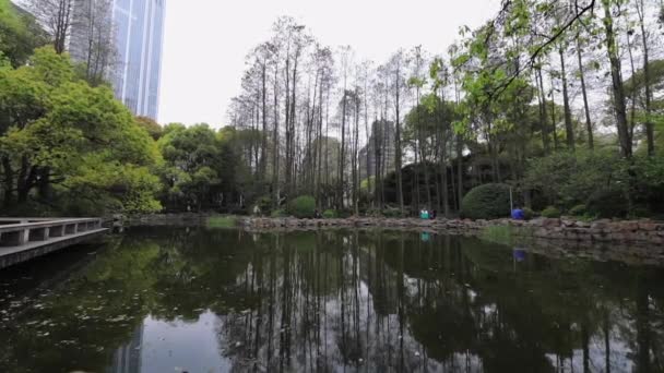 SHANGHAI, CINA - 04 APRILE 2019: Intrattenimento tradizionale cinese da uomo nel parco cittadino. Filmati al rallentatore . — Video Stock