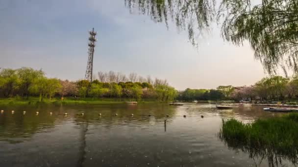 Traditionell kinesisk trädgårds Park. Turister flyttar längs floden i båtar. 4K tidsfördröjning. — Stockvideo