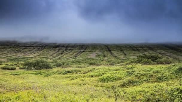 Paisagem pitoresca de natureza tradicional da Islândia. Filmagem de lapso de tempo 4K 2 em 1 . — Vídeo de Stock