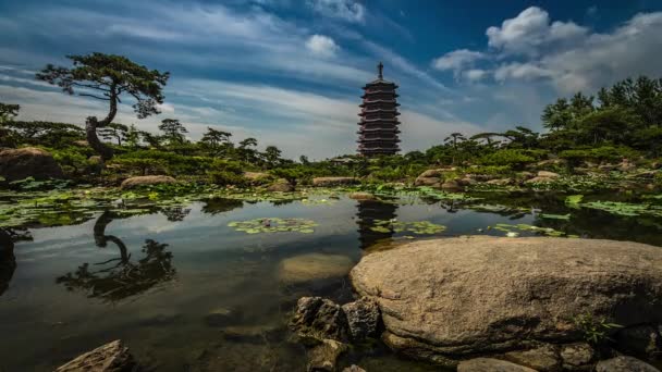 4K Time Lapse. Traditional Chinese City Garden Park. — Stock Video
